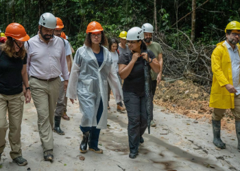 Brasil e Reino Unido anunciam aportes em projeto ambiental na Amazônia