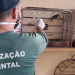 Fiscalização ambiental flagra tráfico e cativeiro irregular de animais silvestres