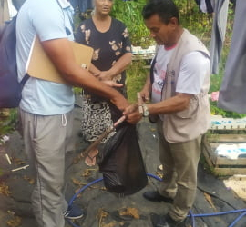 Mobilização contra as arboviroses intensifica ações de prevenção em Matipó