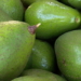 Pecuaristas de Bom Despacho diversificam produção com cultivo de abacate