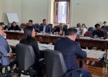 Gestores ambientais de sete estados discutem criação de Corredor Ecológico da Mata Atlântica durante Cosud