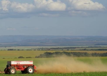 Empresa de Pesquisa Agropecuária lança informe sobre remineralizadores