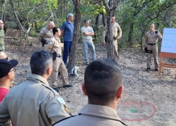 IEF promove alinhamento entre instrutores para atuar na capacitação de brigadistas do combate a incêndios florestais