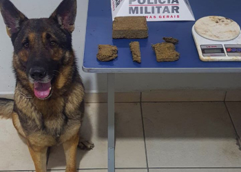 MANHUAÇU – Durante monitoramento PM apreende drogas em lavoura.