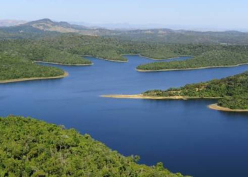 Parque Estadual do Rio Doce oferece visita a importante reservatório biológico da Mata Atlântica