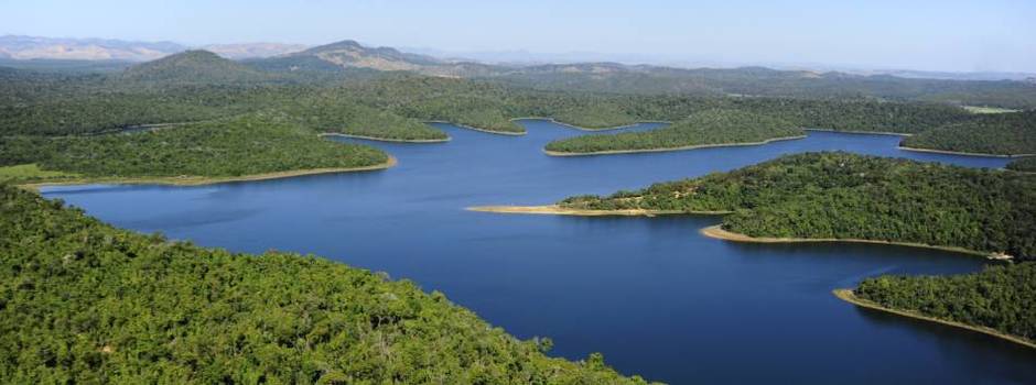 Parque Estadual do Rio Doce oferece visita a importante reservatório biológico da Mata Atlântica
