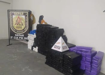 Periquito – Operação policial apreende quase meia tonelada de maconha