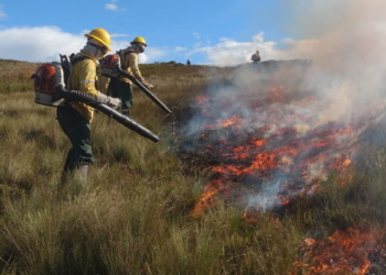 Força-tarefa divulga balanço do combate a incêndios florestais