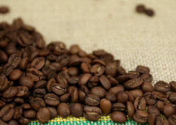 BDMG libera crédito de R$ 60 milhões para o setor do café na Safra 2023/2024