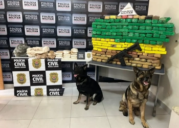 Manhuaçu e Simonésia – Operação conjunta PM e PC desarticula quadrilha de tráfico de drogas