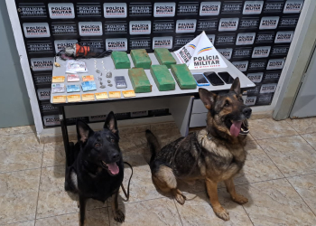 MATIPÓ – Durante operação de combate ao tráfico de drogas, Polícia Militar apreende boa quantidade de drogas e prende dois autores