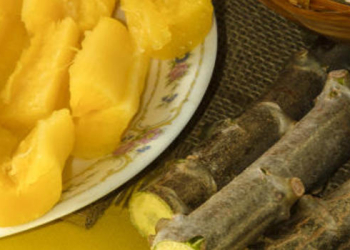 Pesquisa apoiada pela Fapemig desenvolve bebida fermentada à base de mandioca