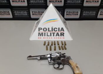 Arma e munições apreendidas pela polícia em Matipó