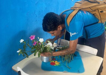 Dengue: Prefeitura de Manhuaçu decreta situação de emergência