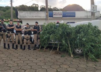 PEDRA BONITA – PM prende autor de tráfico e apreende drogas