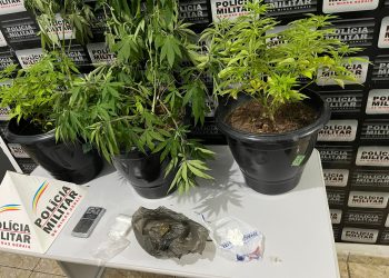 Matipó: PM Prende Suspeito de Tráfico e Apreende Drogas no Bairro Palhada